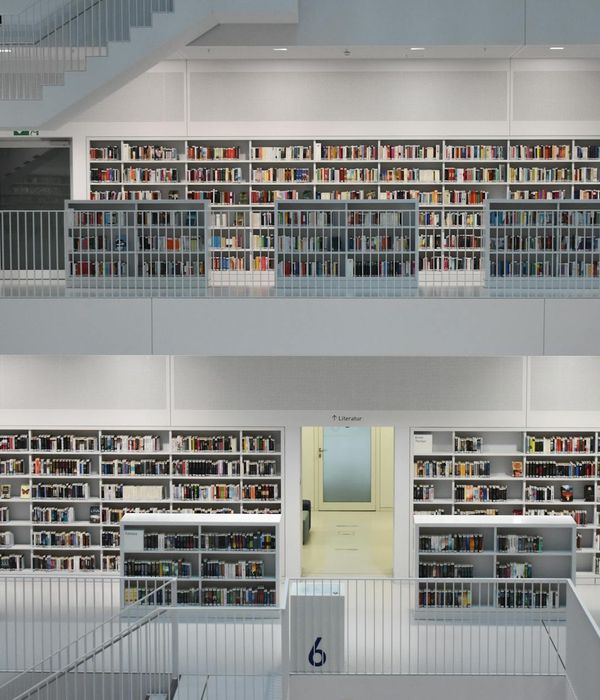 Collection of self-improvement books arranged on modern bookshelf